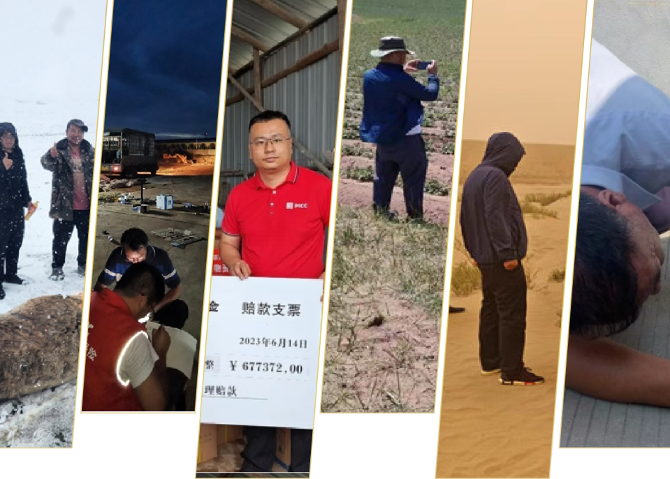 不服“暑”!