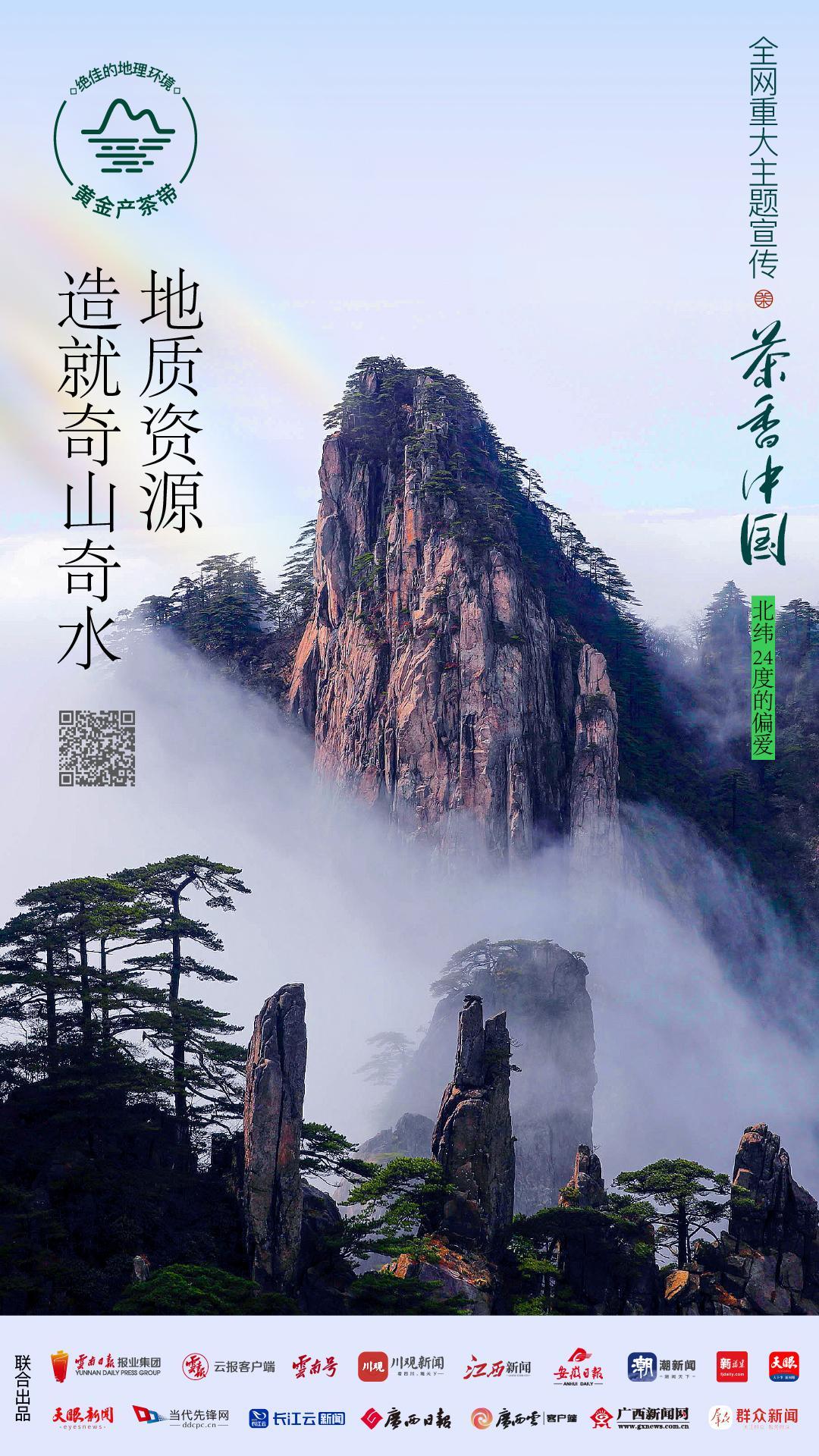 好山好水,出好茶丨茶香中国·北纬24度的偏爱
